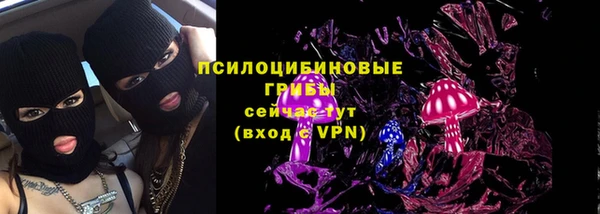 амф Балахна