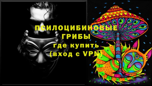 ECSTASY Баксан