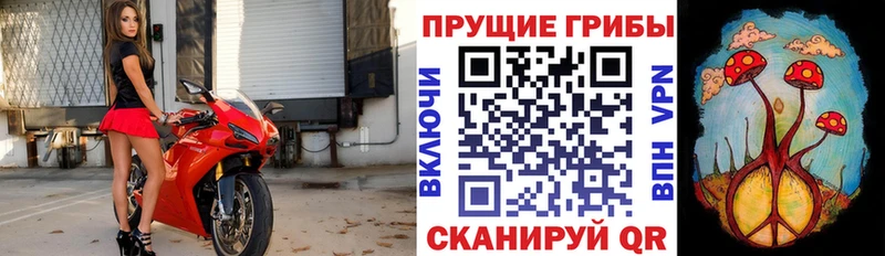 Псилоцибиновые грибы GOLDEN TEACHER  Кондрово 